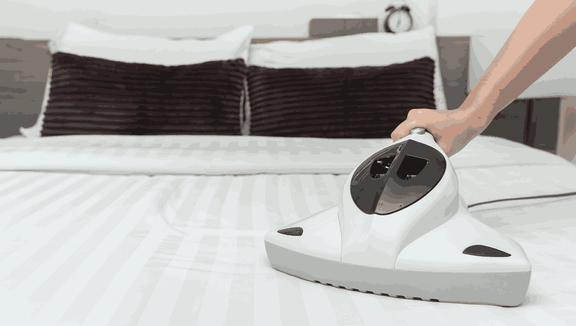 Professional Mattress Cleaning Aberfeldie